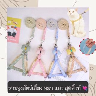 BN-386 สายจูงสัตว์เลี้ยง หมา แมว สุดคิ้วท์ สายจูงมีโบว์ น่ารัก ราคาถูก พร้อมส่ง💘🥰