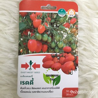 ผลิตภัณฑ์ใหม่ เมล็ดพันธุ์ จุดประเทศไทย ❤เมล็ดพันธุ์Mini Pack 50 Seeds READY Biji Benih Tomato Ceri Premium Cher /ดอก BYH