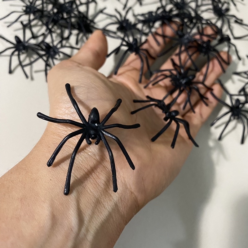 โมเดล แมงมุม พลาสติก ของเล่น แกล้งเพื่อน ฮาโลวีน HALLOWEEN