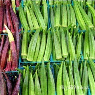 ผลิตภัณฑ์ใหม่ เมล็ดพันธุ์ 2022เมล็ดอวบอ้วน กระเจี๊ยบเขียวคิมสัน (Clemson Spineless Okra Seed) บรรจุ 70 เมล็ด คุ /ดอก YRU