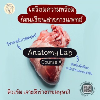 คอร์สเรียนกายวิภาคศาสตร์ A: Anatomy Lab เตรียมสอบสายการแพทย์