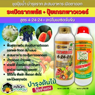 🥬 ชุดปุ๋ยน้ำ ระเบิดรากพลัส+เกรทพาวเวอร์ (สูตร4-24-24+อะมิโนแอดซิดเข้มข้น) บำรุงราก สะสมอาหาร เปิดตาดอก