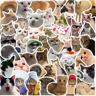 50 ชิ้นแมวตลก Meme สติกเกอร์สําหรับแล็ปท็อปสเก็ตบอร์ดเคสโทรศัพท์รูปลอก Resake Glory
