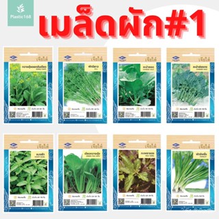 ผลิตภัณฑ์ใหม่ เมล็ดพันธุ์ เมล็ดอวบอ้วน100%ผักซอง เจียไต๋ เมล็ดผัก 1 ตราเจียไต๋ กะเพาแดง แมงลัก กวางตุ้ง คะน้า ผ คล/เ SOZ