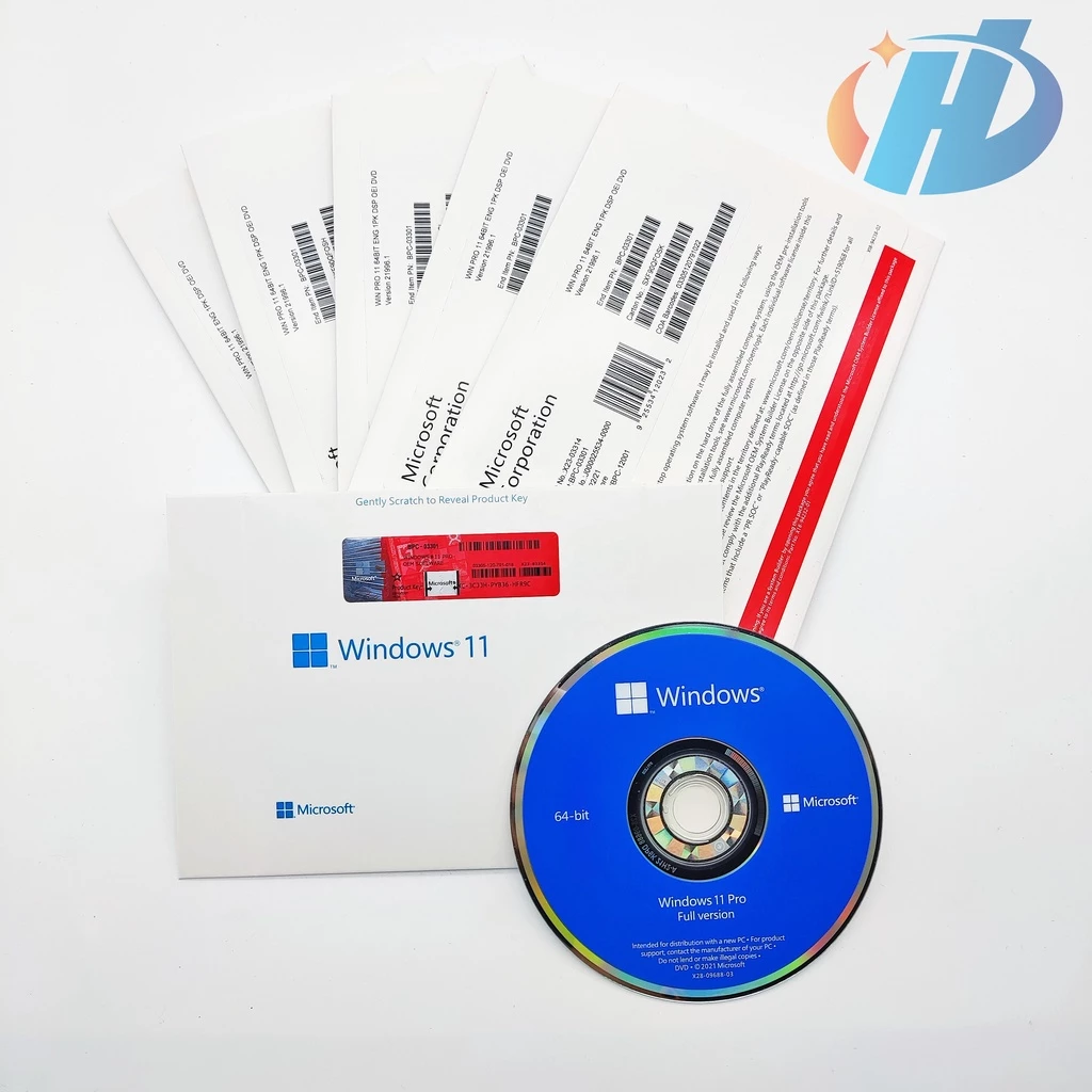 Windows 11 Professional OEM Key