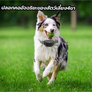 ของใหม่แนะนำ ปลอกคออัจฉริยะน้องหมาฝึกน้องหมา Smart Bark Collar