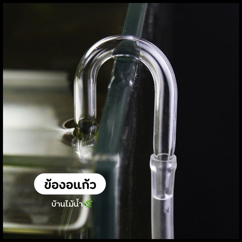 ข้องอแก้ว ข้องอสแตนเลส ข้องอตัว U ข้องอตัวยู แขวนสาย CO2 หรือสายออกซิเจนที่ขอบตู้ | บ้านไม้น้ำ🌿