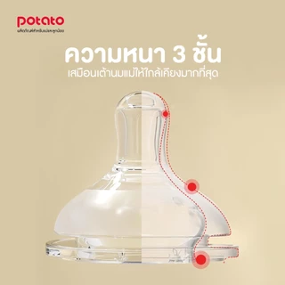Potato จุกนมคอกว้างเสมือนนมแม่ (NZ623)