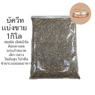 บัควีท แบ่งขายขนาด 1 kg Buckwheat