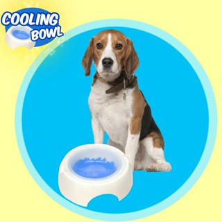 Cooling bowl ชามเจลโซลูชั่นสัตว์เลี้ยง