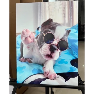 กรอบลอยบอร์ดไดคัท 1 แถม 1 กรอบลอยรูปขนาด20*30cm. ส่งเร็วใน1-2วัน