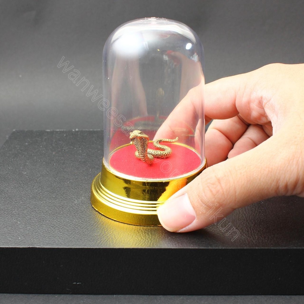 จงอางแผ่เบี้ยทองเหลืองแท้ ราคาส่ง - รูปที่ 3