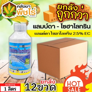 🌽 💥💥 สินค้ายกลัง 💥💥 แลมป์ดา-ไซฮาโลทริน (แลมป์ดา-ไซฮาโลทริน) 1ลิตร*12ขวด สูตรน็อคเย็น ป้องกันหนอน เพลี้ยและแมลงตัวบิน