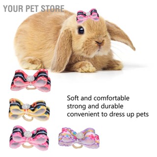 Your Pet Store โบว์ติดผม รูปดอกไม้น่ารัก สะดวก พร้อมยางรัดผม สําหรับตกแต่งสัตว์เลี้ยง สุนัข