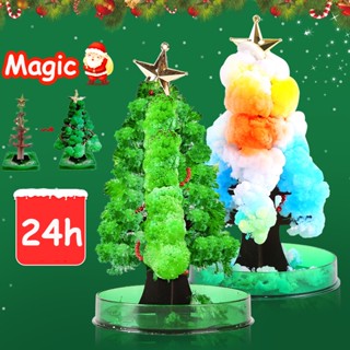 พร้อมส่ง!! ต้นไม้วิทยาศาสตร์ ต้นคริสต์มาส Magic Growing Christmas Tree ตกแต่งคริสต์มาส เด็กของเล่นทำมือ