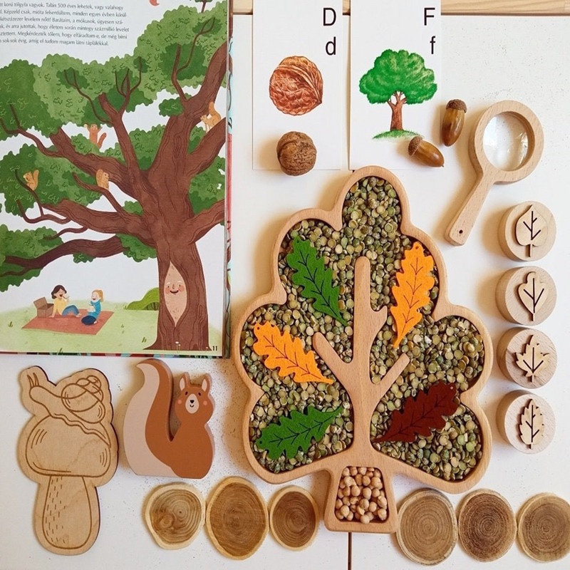 Montessori Sensory Tray Children's Natural Science Enlightenment