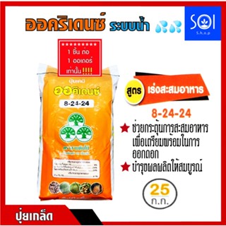 ปุ๋ยเกล็ด ออคิเดนซ์ ระบบน้ำ สูตร 8-24-24 (เร่งสะสมอาหาร) กระสอบ 25 กิโลกรัม YVP วายวีพี🎗1กระสอบ/1คำสั่งซื้อนคะ🎗