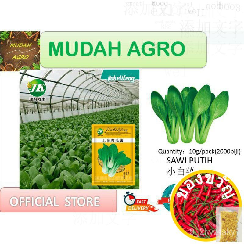 Bernih Simple Mart SEED vegetable ◾ เด็ก/ ◾/​​กระโปรง/ ⚝/ทานตะวัน/กุหลาบ/กางเกง/หมวก/seeds/ LWVP