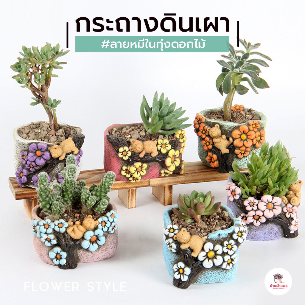 กระถางดินเผาลายหมีในทุ่งดอกไม้ กระถางต้นไม้ ไม้อวบน้ำ กุหลาบหิน cactus&succulentหลากหลายสายพันธุ์