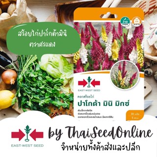 GGEW เมล็ดพันธุ์ เมล็ดพันธุ์ดอกไม้ เมล็ดดอกไม้ สร้อยไก่ ปาโกด้ามินิ มิกซ์ 30 เมล็ด ตราศรแดง Mini Celosia Plumosa Seeds