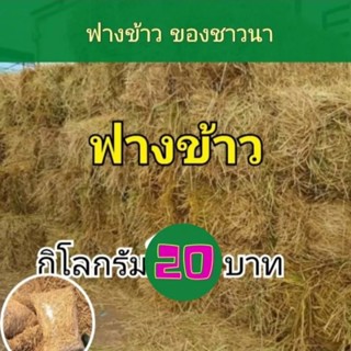 ฟางข้าว ฟางคลุมดิน  1 กิโลกรัม **สั่งขั้นต่ำ 3 กิโลขึ้นไป**