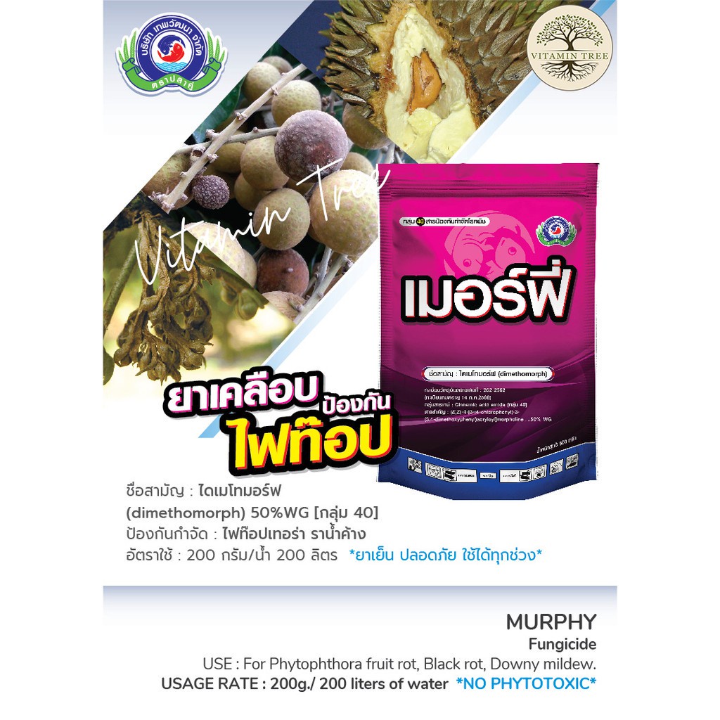 My Image 33