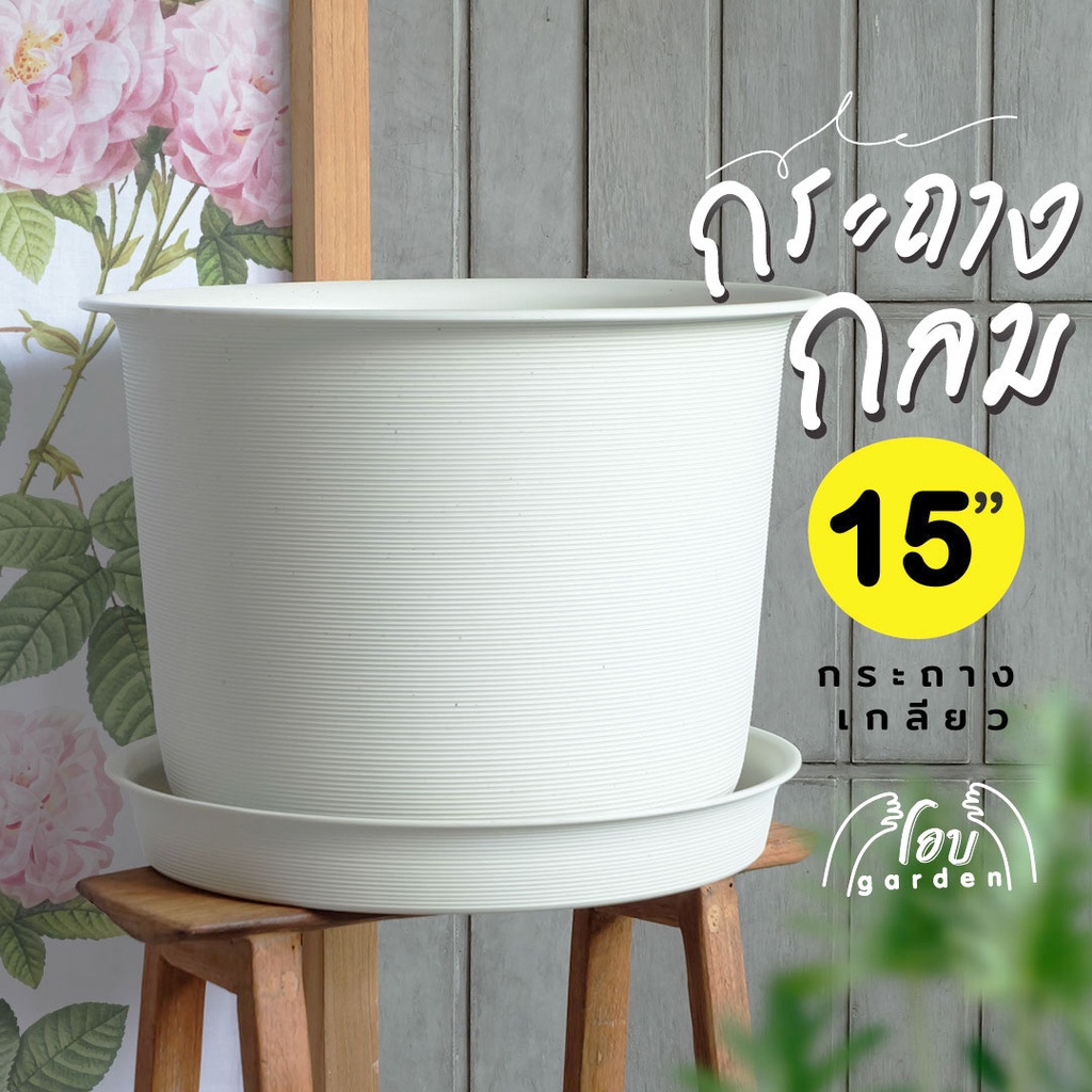 กระถางกุหลาบทรงกลม กระถางญาญ่า ขนาด 15 /12 นิ้ว + จานรอง