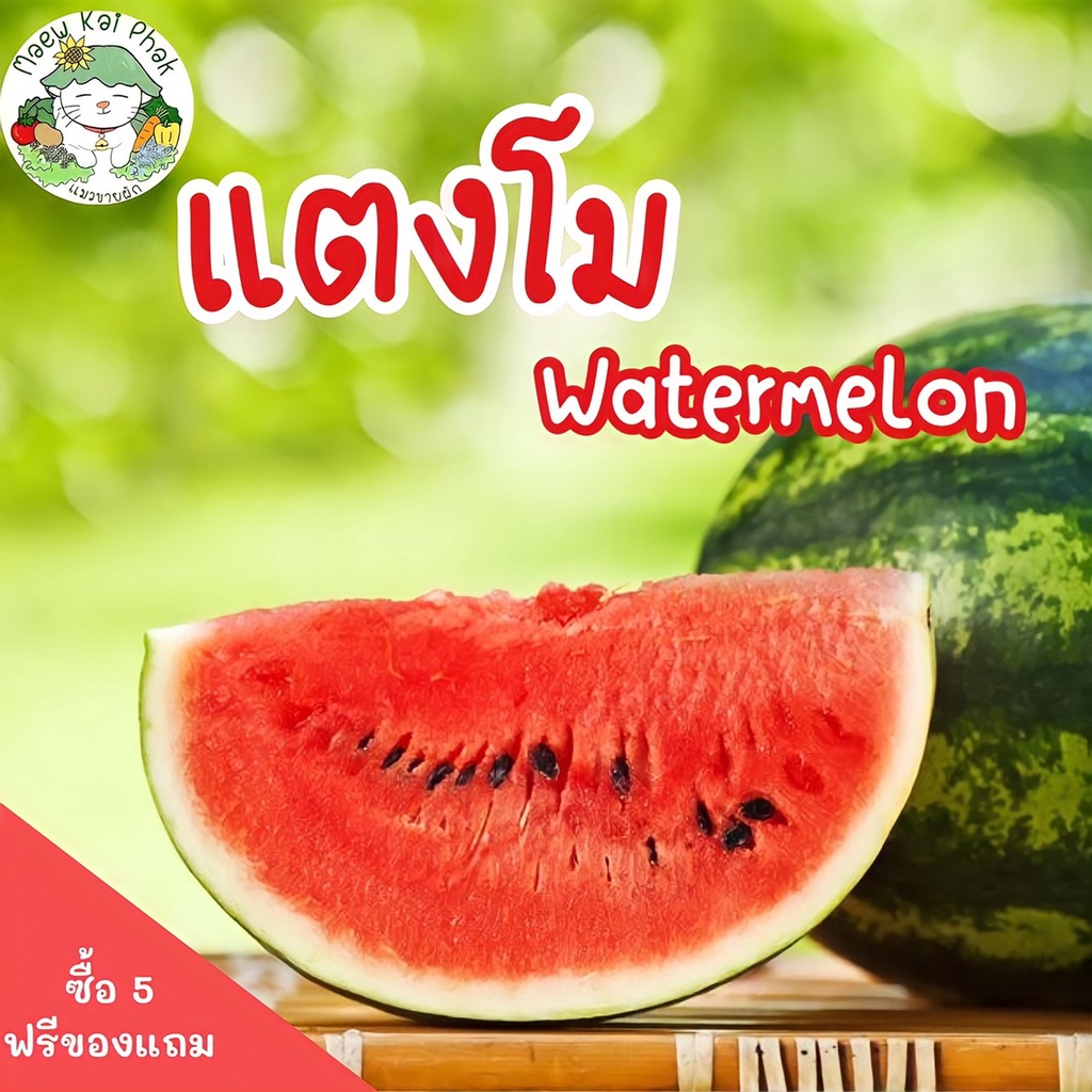 ❋เมล็ดพันธุ์ แตงโมเนื้อแดง รสหวาน แตงโม พันธุ์ไทย 10 เมล็ด Thai Sweet Watermelon Seed เมล็ดพันธุ์แท้ ปลูกง่าย ไม่กลายพัน