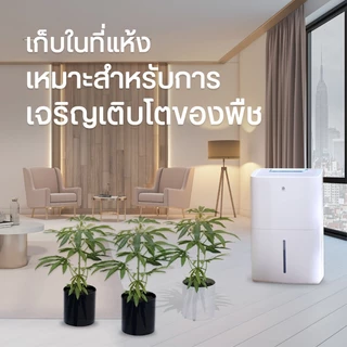 NEW WIDETECH Electric Air Dehumidifier for home เครื่องดูดความชื้น 18L/30L/12L/16L