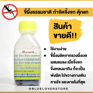 ราคาถูก / ส่ง เหยื่อกำจัดจิ้งจก ตุ๊กแก [ สินค้ามีสต็อก ]