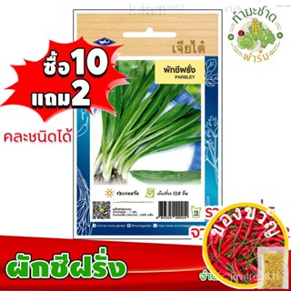 [10แถม2] เจียไต๋ เมล็ดพันธุ์ ผักชีฝรั่ง parsley ประมาณ 2,800 เมล็ด ตราเจียไต๋ เมล็ดพันธุ์ผัก เมล็ดผัก เมล็ดพืช ผักสวนครั