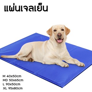 แผ่นรองนอนเย็น ที่นอนเย็น เบาะรองนอน แผ่นรองนอนเจลเย็น แผ่นเย็น เจลเย็นลดความร้อน Cool Gel Mat หลายแบบให้เลือก occomall