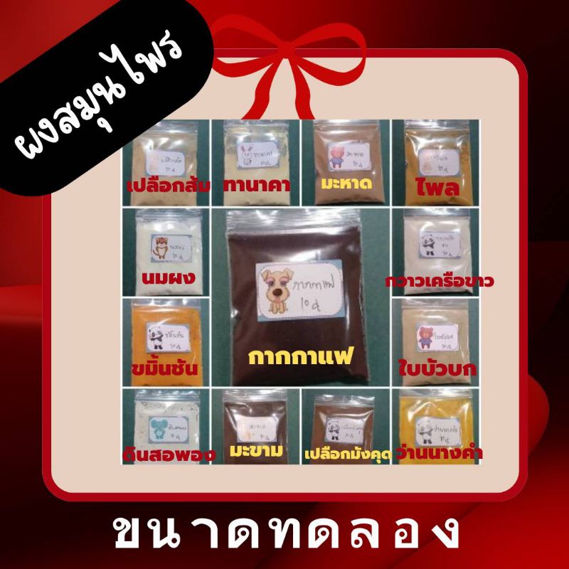 ผงสมุนไพรมาร์คหน้า ขนาดทดลอง 10 กรัม
