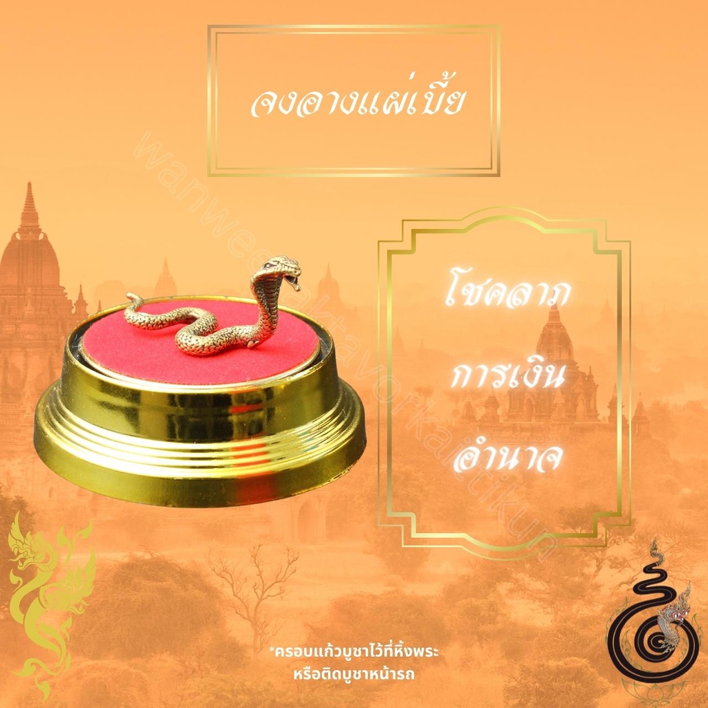 จงอางแผ่เบี้ยทองเหลืองแท้ ราคาส่ง - รูปที่ 2