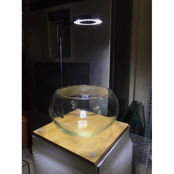 MINI ROUND FISH TANK - DESKTOP FISH TANK