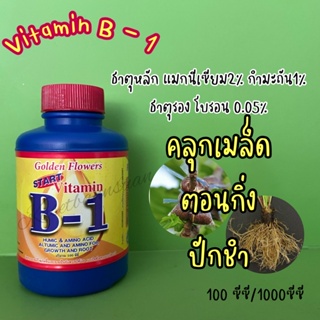 🌸B1 vitamin b-1  บีวัน เร่งราก เร่งการแตกรากพืช กระตุ้นการเจริญเติบโตของพืช ทำให้พืชฟื้นตัวได้เร็ว