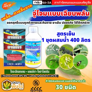 🌽 ชุดเพลี้ยตายสิ้นซาก คาร์เรร่า+แลมป์ดา ไก่เกษตร (ไทอะมีทอกแซม+แลมป์ดา-ไซฮาโลทริน) จู่โจมแบบเฉียบพลัน