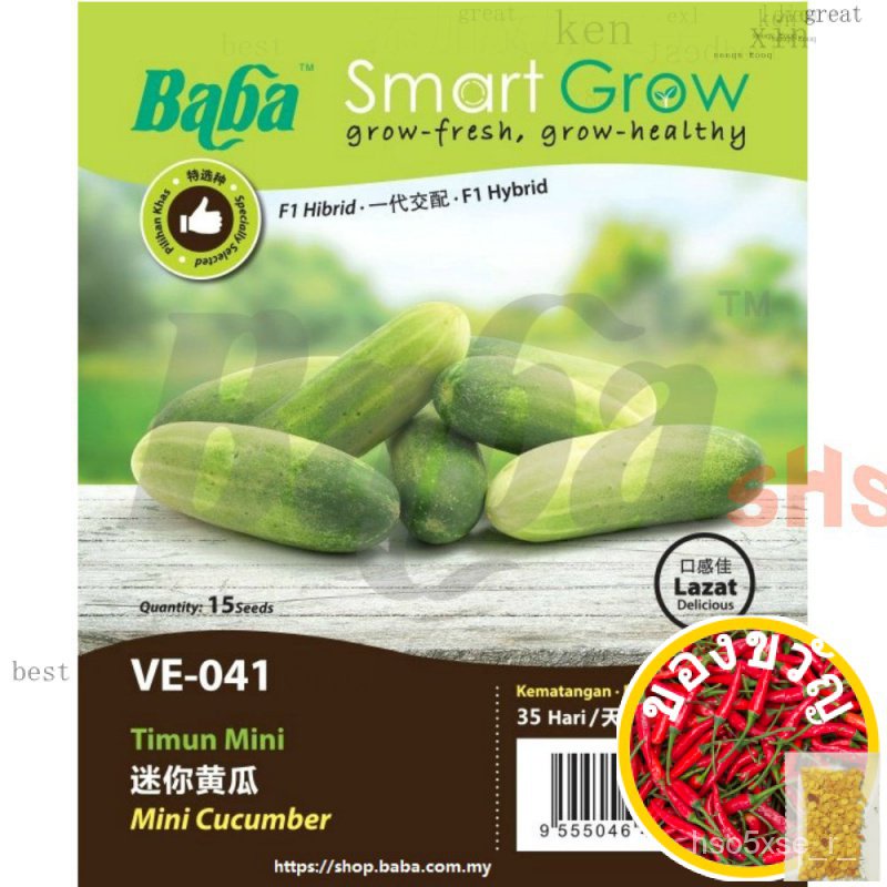 Baba cumber SEED (F1ญี่ปุ่น cumber, MINI ห่อนาว8) VE-050 VE-041 VE-024 SHS/ดอกไม้//แท็บ PBTB
