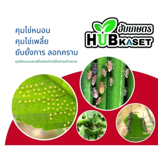 ไวต์ออยล์ 5ลิตร (ไวต์ออยล์) ป้องกันเพลี้ยหอย เพลี้ยไฟ เพลี้ยแป้ง เพลี้ยไก่แจ้ส้ม ไรแดง แมลงหวี่ขาว