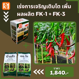 ปุ๋ยน้ำ เร่งการเจริญเติบโต เพิ่มผลผลิต พริก ประสิทธิภาพสูง FK-1 เร่งโต FK-3 ขยายขนาดผล สำหรับพืชออกผลทุกชนิด โดย FK