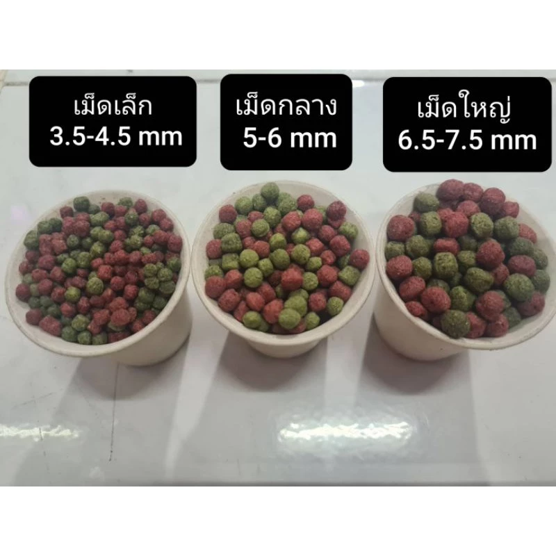 อาหารปลา bk 1มีส่วนผสมสาหร่ายสไปรูไลน่าและกุ้ง Krilllใช้เลี้ยงปลาทอง ปลาคาร์ฟ ปลาสวยงามทุกชนิด เป็นสูตรเร่งสีและเร่งโต