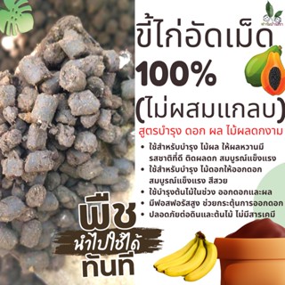 ขี้ไก่อัดเม็ด 100% (ไม่ผสมแกลบ) มูลขี้ไก่อัดเม็ด สูตรบำรุง ดอก ผล ไม้ดอก ไม้ผล ดก าม สูตรบำรุง อัดเม็ดพร้อมส่ง (pack5kg)