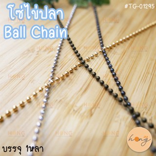 โซ่ไข่ปลา #TG-01295 Ball Chain