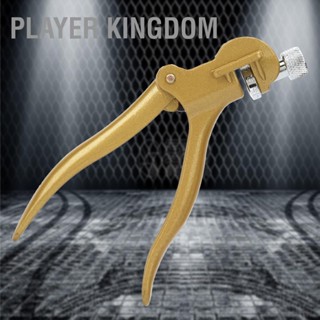 BPlayer Kingdom ชุดเครื่องมือคีมดึงเลื่อย โลหะผสมสังกะสี และทองแดง สําหรับงานไม้