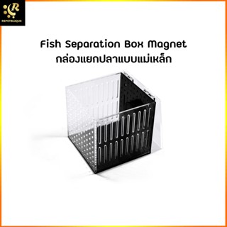 กล่องแยกปลา 1 ช่อง แม่เหล็ก Fish Box Magnet กล่องพักปลา กล่องอนุบาลปลา ปลาป่วย ปลาท้อง Breeding BOX Marine plus