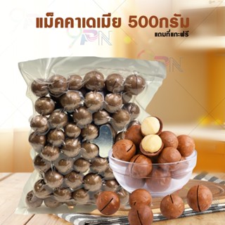 พร้อมส่ง🌰แมคคาเดเมีย 500g อบพร้อมทาน แบบมีเปลือก เต็มเม็ด (แถมที่แกะเปลือกฟรี) ธัญพืชเพื่อสุขภาพ ราชาแห่งถั่ว