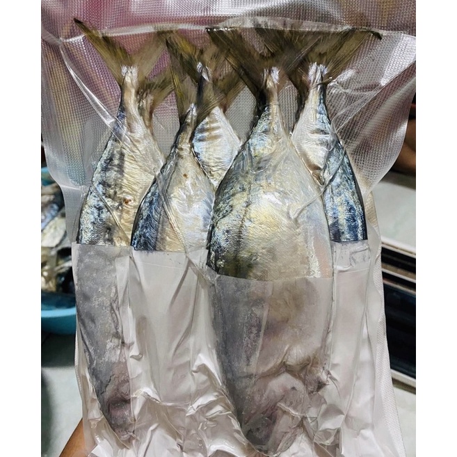 ปลททู ปลาทูมันตัวใหญ่ เค็มน้อย เนื้อแน่น ออแกนิกปลอดสาร แพ็ค500กรัม (3-4ตัว)สดสะอาด ไม่เหม็น ไม่เละ หมักจากเกลือธรรมชาติ
