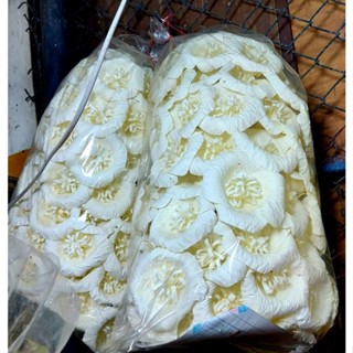 ดอกไม้จันทร์(สำหรับงานศพดอกสีขาว)ยกแพ็ค