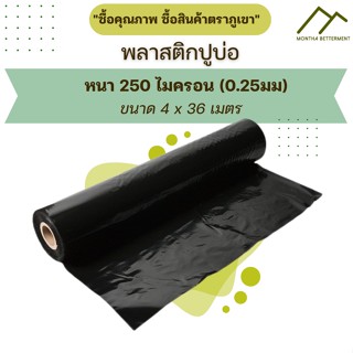 พลาสติก PE พีอี พลาสติกปูบ่อ ปูบ่อน้ำ บ่อปลา 250 ไมครอน หนา 0.25 มิล ขนาด 4x36 เมตร เต็มม้วน