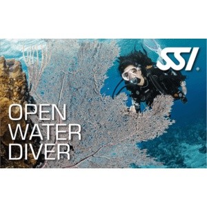 COURSE SCUBA DIVING SSI